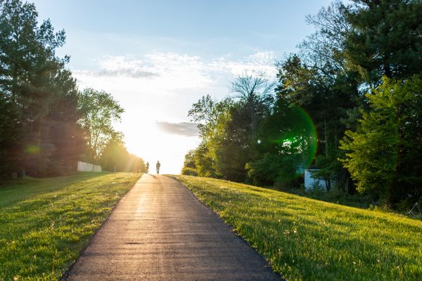 Cost of Asphalt Pathway Installation in Redwood City