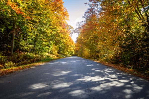 Cost of Blacktop Replacement in Redwood City